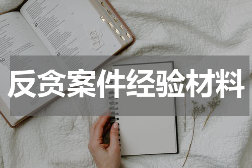 反贪案件经验材料
