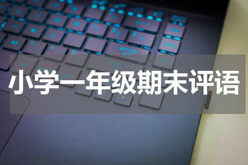小学一年级期末评语