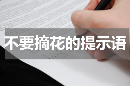 不要摘花的提示语