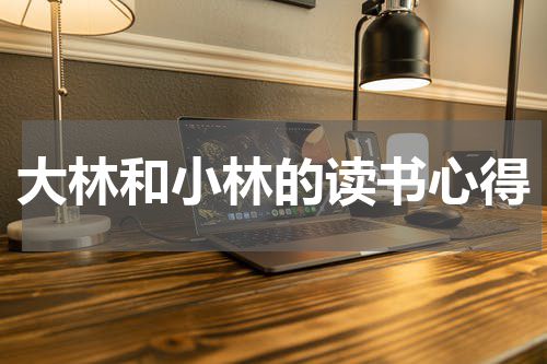 大林和小林的读书心得