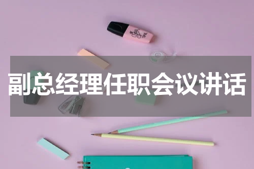 副总经理任职会议讲话