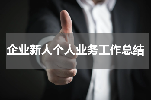 企业新人个人业务工作总结