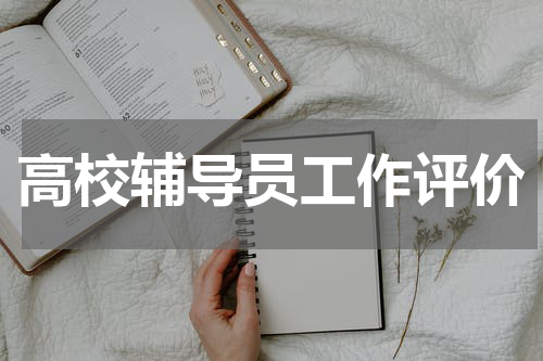 高校辅导员工作评价