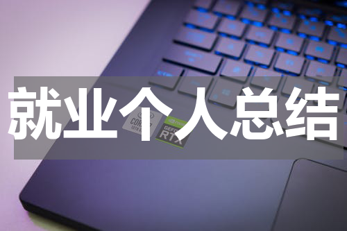 就业个人总结