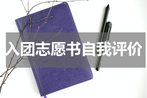入团志愿书自我评价