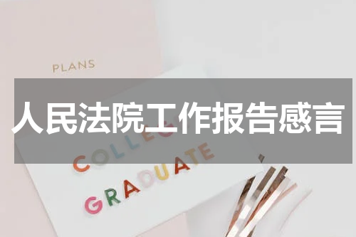 人民法院工作报告感言