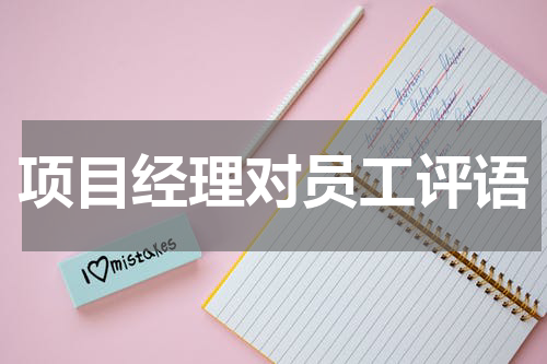 项目经理对员工评语