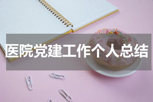 医院党建工作个人总结