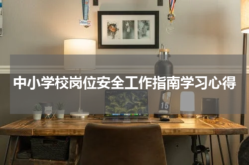 中小学校岗位安全工作指南学习心得