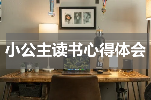 小公主读书心得体会