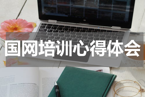国网培训心得体会