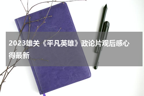 2023雄关《平凡英雄》政论片观后感心得最新