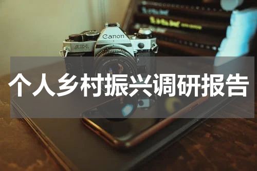 个人乡村振兴调研报告