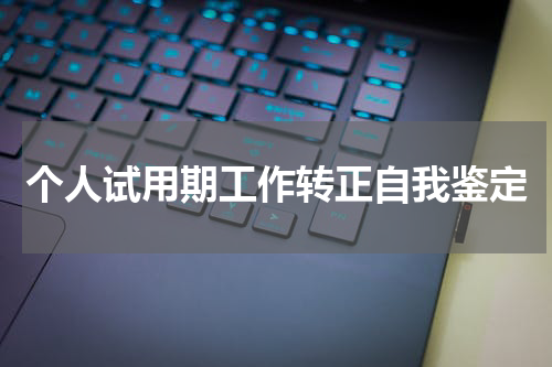 个人试用期工作转正自我鉴定