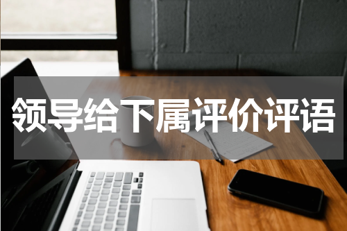 领导给下属评价评语