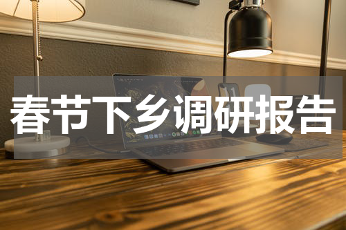 春节下乡调研报告