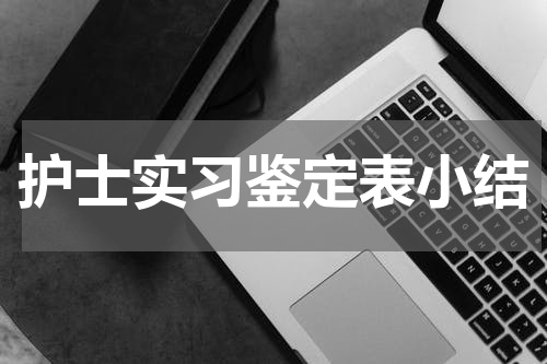 护士实习鉴定表小结