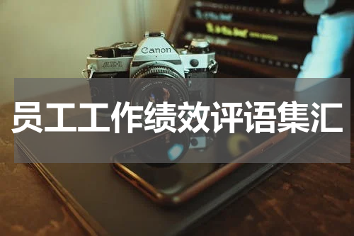 员工工作绩效评语集汇