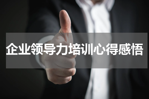 企业领导力培训心得感悟