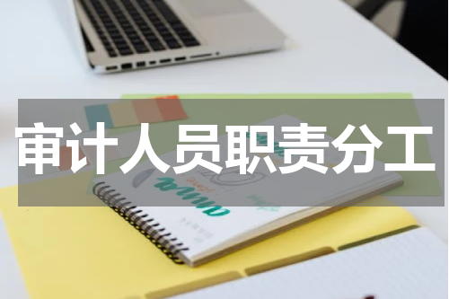 审计人员职责分工