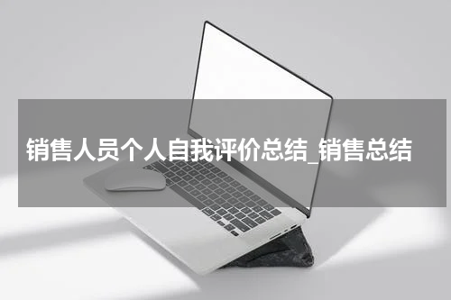 销售人员个人自我评价总结_销售总结