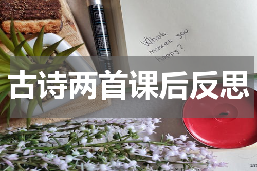 古诗两首课后反思