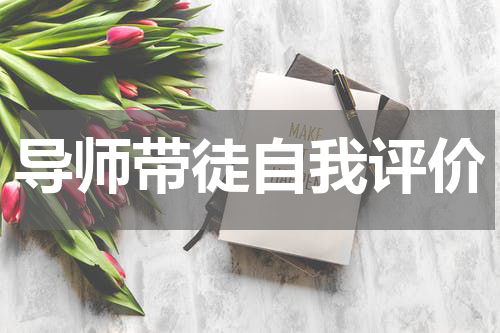 导师带徒自我评价