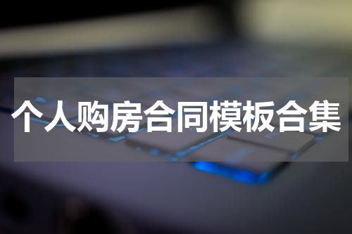 个人购房合同模板合集