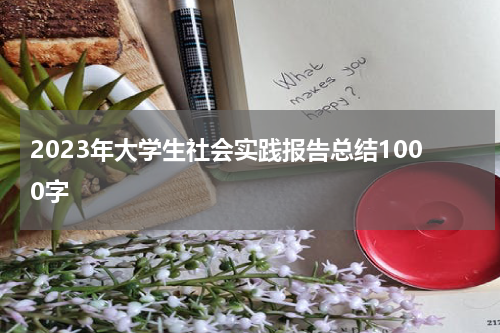 2023年大学生社会实践报告总结1000字