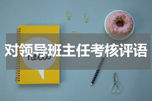 对领导班主任考核评语