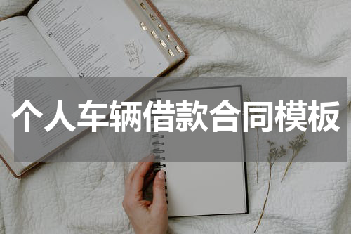 个人车辆借款合同模板