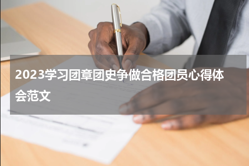 2023学习团章团史争做合格团员心得体会范文