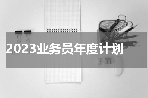 2023业务员年度计划