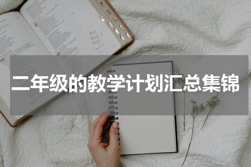 二年级的教学计划汇总集锦