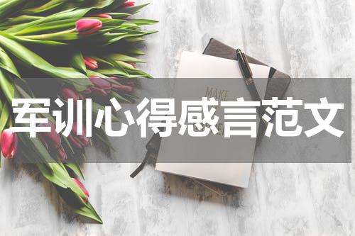 军训心得感言范文
