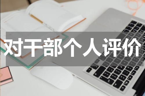 对干部个人评价
