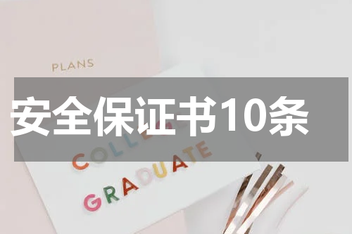 安全保证书10条