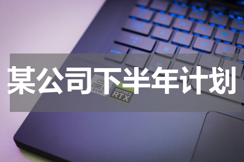 某公司下半年计划