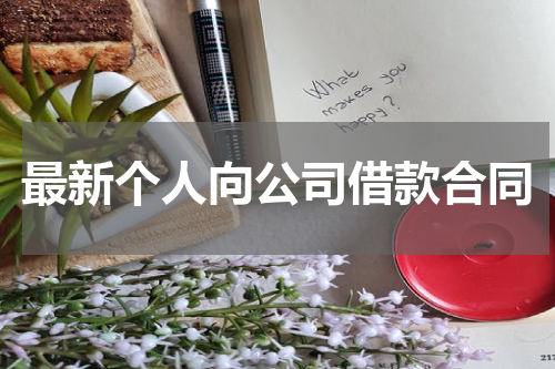 最新个人向公司借款合同