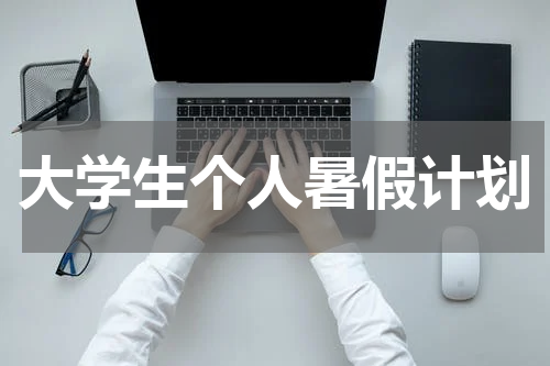 大学生个人暑假计划
