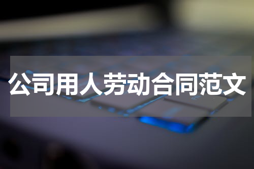 公司用人劳动合同范文