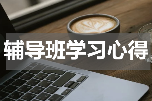 辅导班学习心得