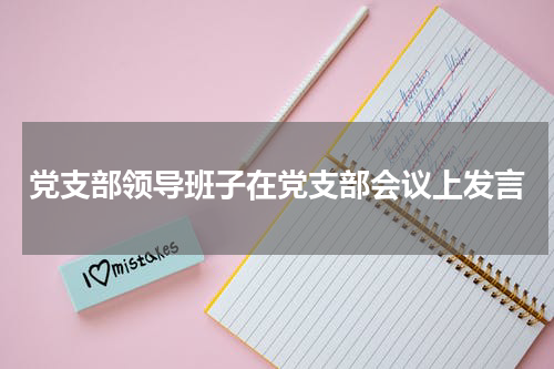 党支部领导班子在党支部会议上发言
