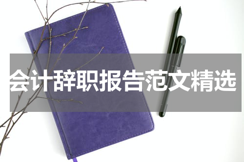 会计辞职报告范文精选