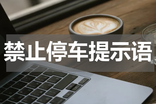 禁止停车提示语