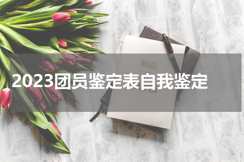2023团员鉴定表自我鉴定