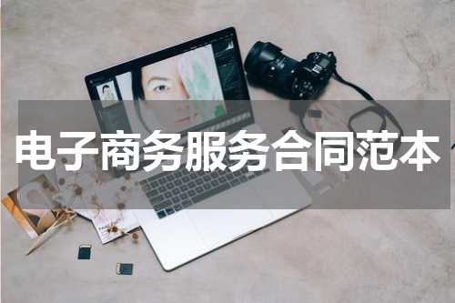 电子商务服务合同范本