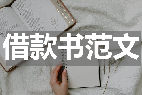 借款书范文