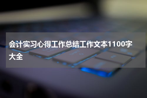 会计实习心得工作总结工作文本1100字大全