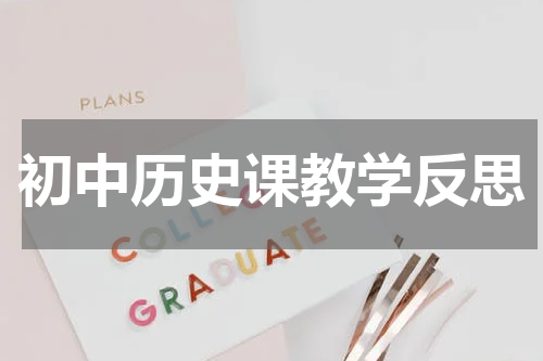 初中历史课教学反思